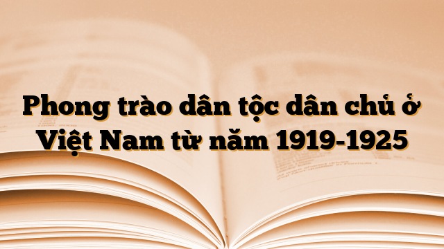 Phong trào dân tộc dân chủ ở Việt Nam từ năm 1919-1925