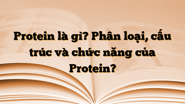 Protein là gì? Phân loại, cấu trúc và chức năng của Protein?