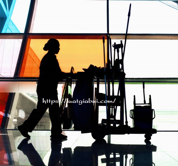 Hướng Dẫn Thủ Tục, Hồ Sơ, Quy Trình Thành Lập Công Ty Giúp Việc Nhà