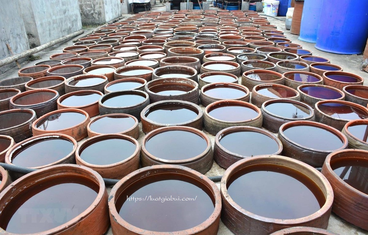 Hướng Dẫn Thủ Tục, Hồ Sơ, Quy Trình Thành Lập Công Ty Sản Xuất Nước Mắm