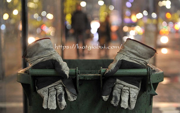 Hướng Dẫn Thủ Tục, Hồ Sơ, Quy Trình Thành Lập Công Ty Thu Gom Rác Thải